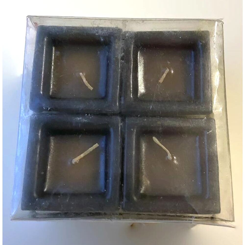Pier 1 Votive Candle Norway Spruce Set 4 Christmas Holiday Cabin Lodge Earthy